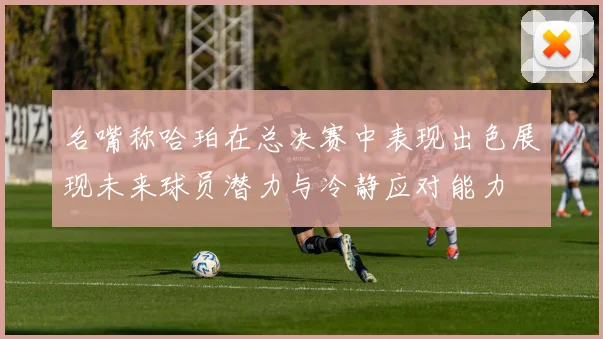 名嘴称哈珀在总决赛中表现出色展现未来球员潜力与冷静应对能力