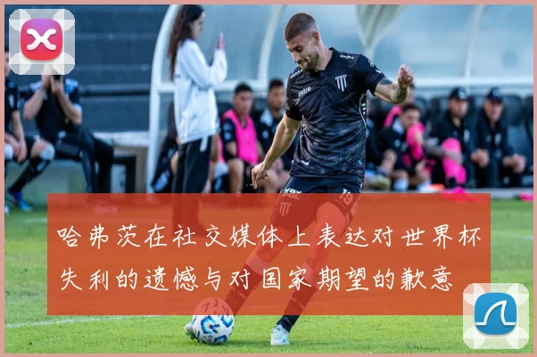 哈弗茨在社交媒体上表达对世界杯失利的遗憾与对国家期望的歉意